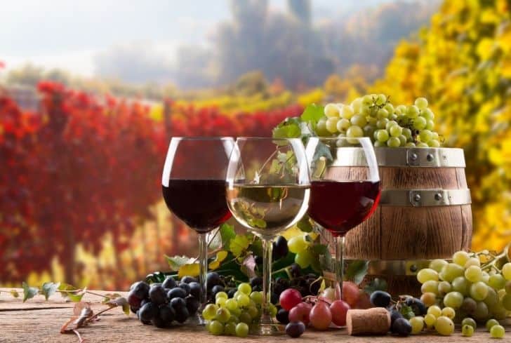 酒杯是怎么回收的？