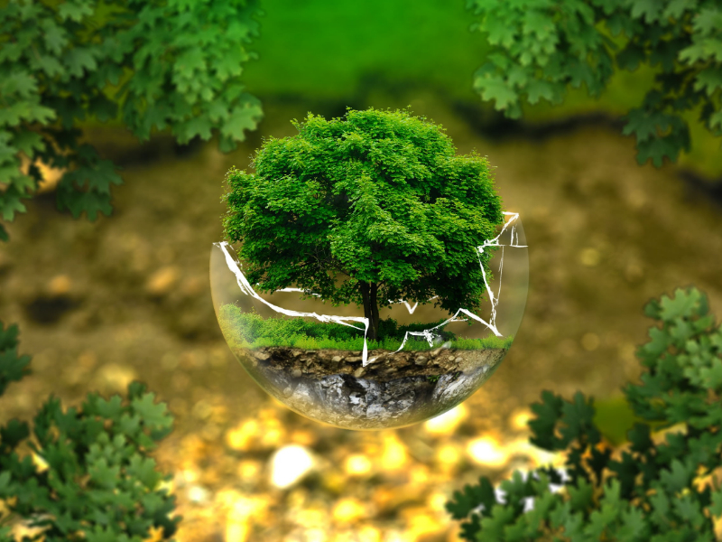 臨期的奶粉可以喝嗎？|過期奶粉銷毀